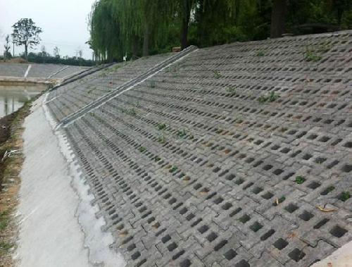 洛陽(yáng)護坡磚-案例
